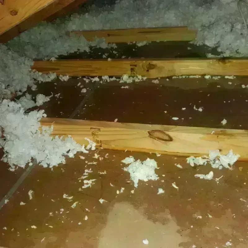 Attic Water Damage in Riverview, MI