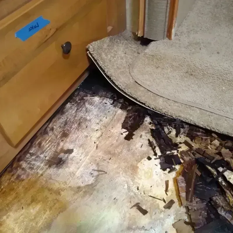 Wood Floor Water Damage in Riverview, MI